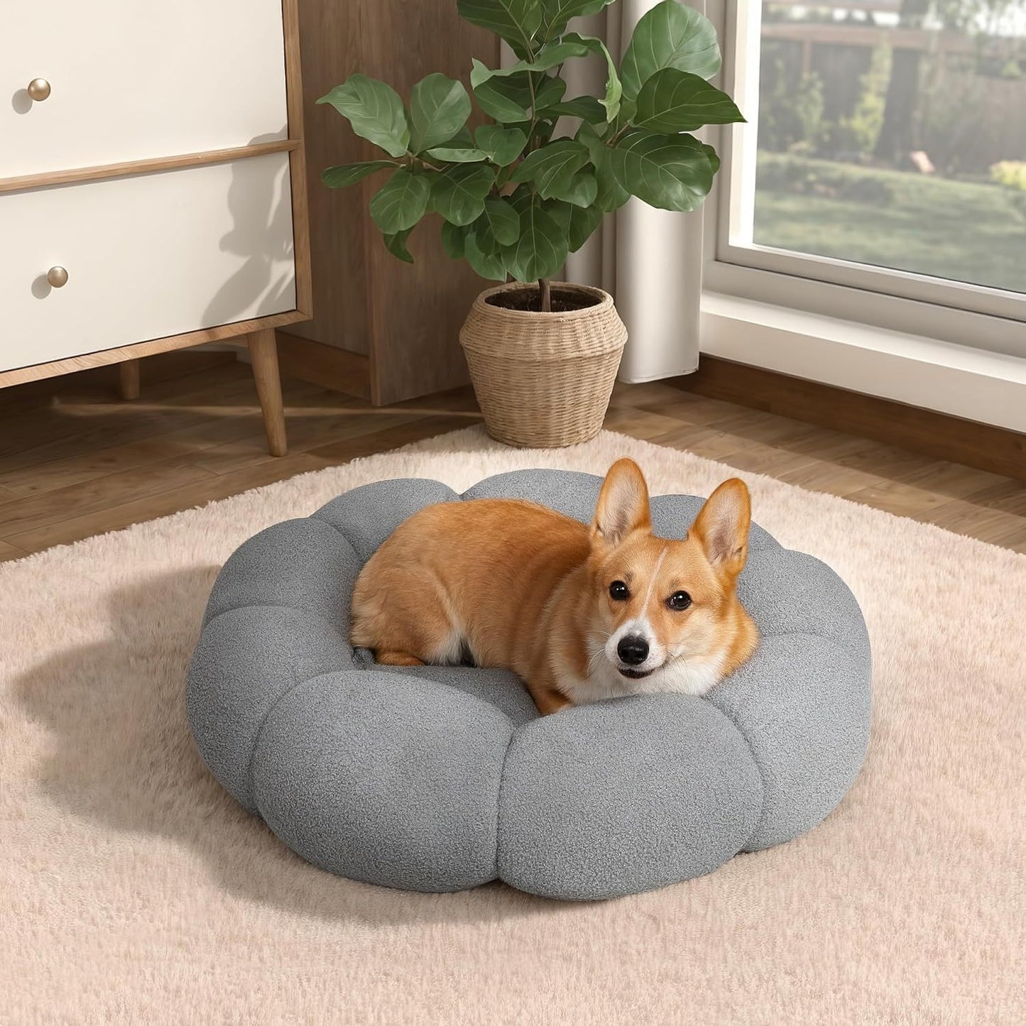 Calming Cat Beds For Indoor Cats Fluffy Flower Cat Dog Bed In Plush Teddy Sherpa Round Donut Cuddler Puppy Bed Non Slip Machine Washable Pet Bed